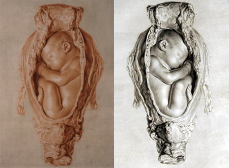 rymsdyk-sketch-engraving