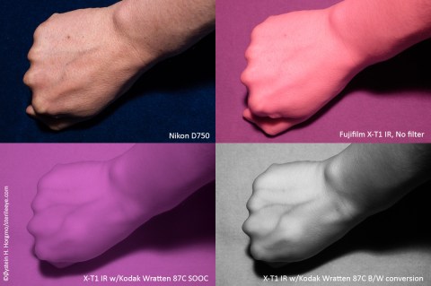 Photos by Øystein H. Horgmo © All rights reserved.