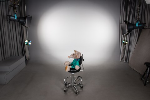 Photos by Øystein H. Horgmo © All rights reserved.